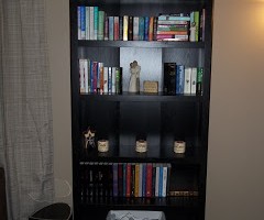 shelf
