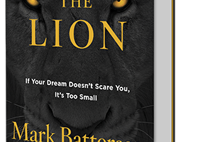 chasethelion