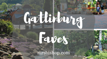 Gatlinburg Faves